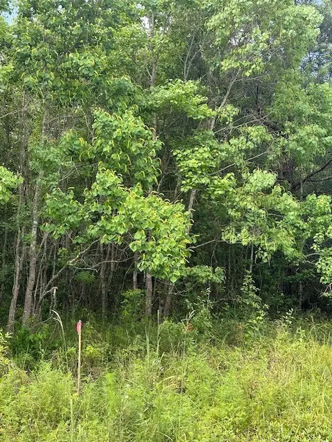 TBD 4 County Road 2223-b, Cleveland, TX 77327 - #3