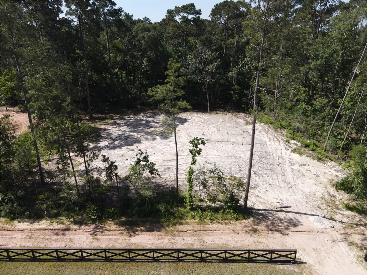 21321 Monarch Drive, Montgomery, TX 77316 - #1