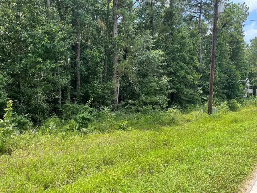 25416 Cambridge Boulevard, New Caney, TX 77357 - Image #3