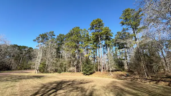 65 S Royale Greens Drive, Coldspring, TX 77331