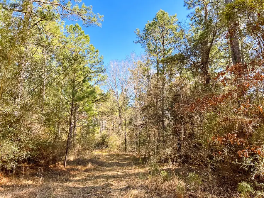 15 Union Springs Road, Corrigan, TX 75939 - #2