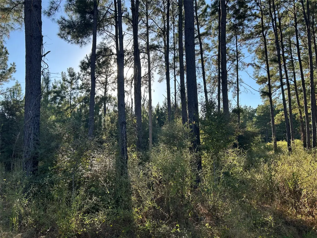 Tract 12A F M 230, Lovelady, TX 77854 - Image #1