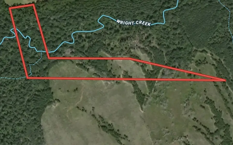 Tract 12A F M 230, Lovelady, TX 77854 - Image #3