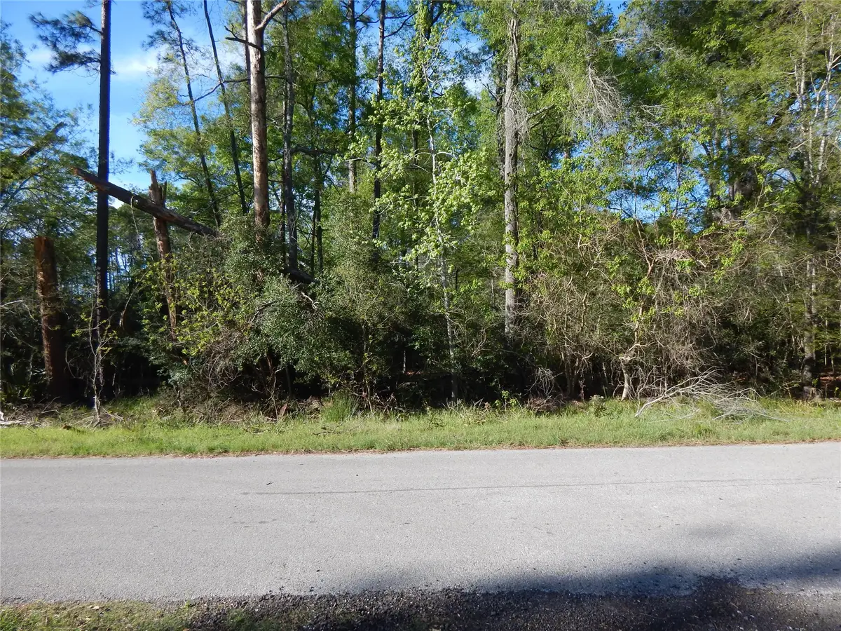 000 Pin Oak Lane, Houston, TX 77336 - #1