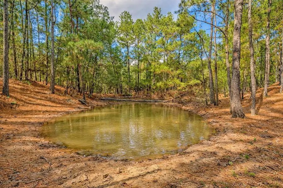 157 Oates Brothers Road, Trinity, TX 75862 - #3