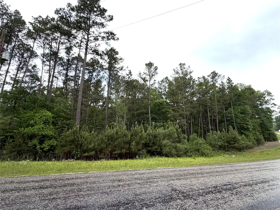 8-11-4b Sundog Road, Huntsville, TX 77340 - #3