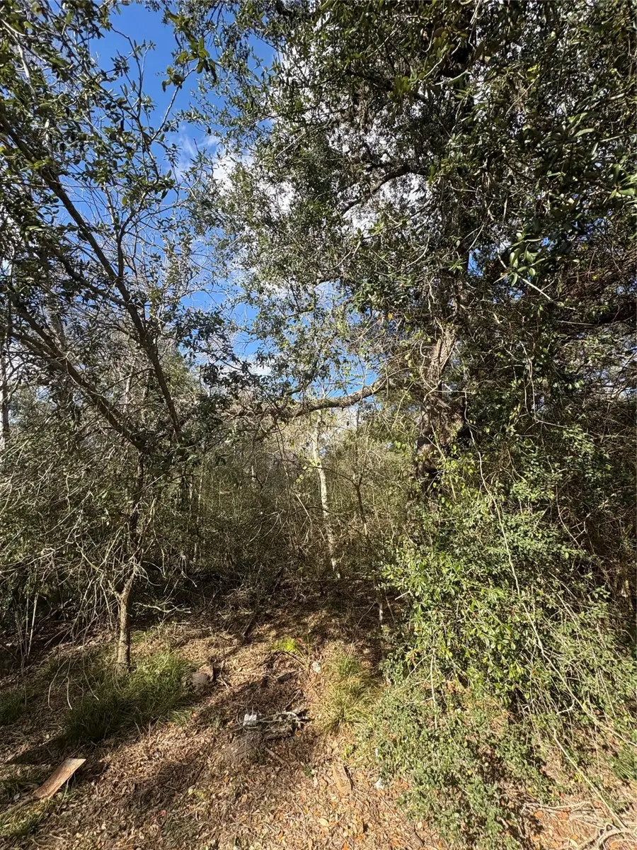 0 Paloma, Bay City, TX 77414 - Image #3