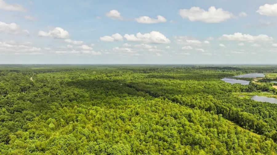 00 Fm 787, Cleveland, TX 77327 - #2