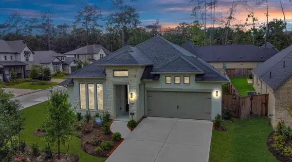 210 West Netleaf Court, Montgomery, TX 77316
