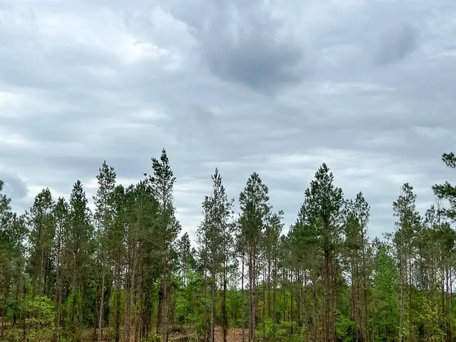 4 Cr 2145, Latexo, TX 75835 - Image #2