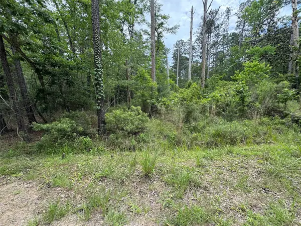 239238 Arborcrest Drive, Brookeland, TX 75931