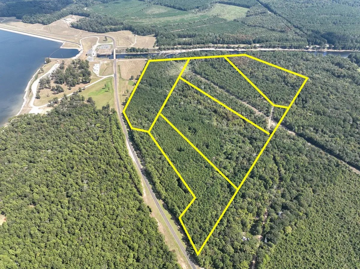 T-4 Hickman Road, Burkeville, TX 75932 - #1