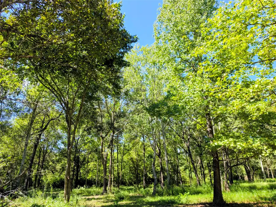 TBD 3rd Street, Batson, TX 77519 - #3
