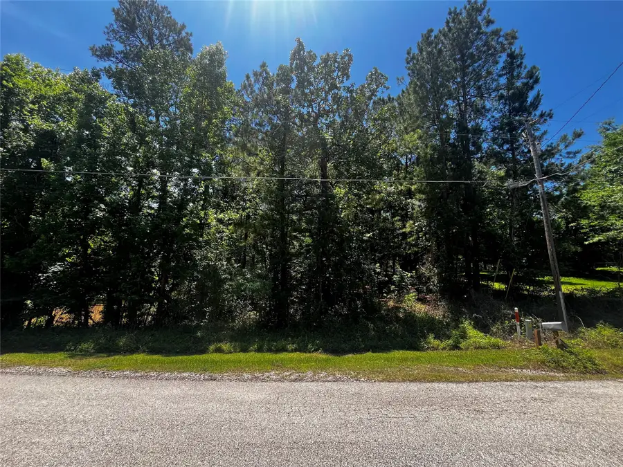 0 Hickory Ridge Drive, Coldspring, TX 77331 - #3
