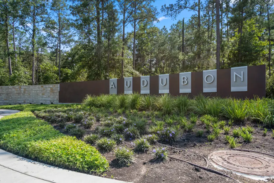 176 Shoveler Duck Way, Magnolia, TX 77354 - #3