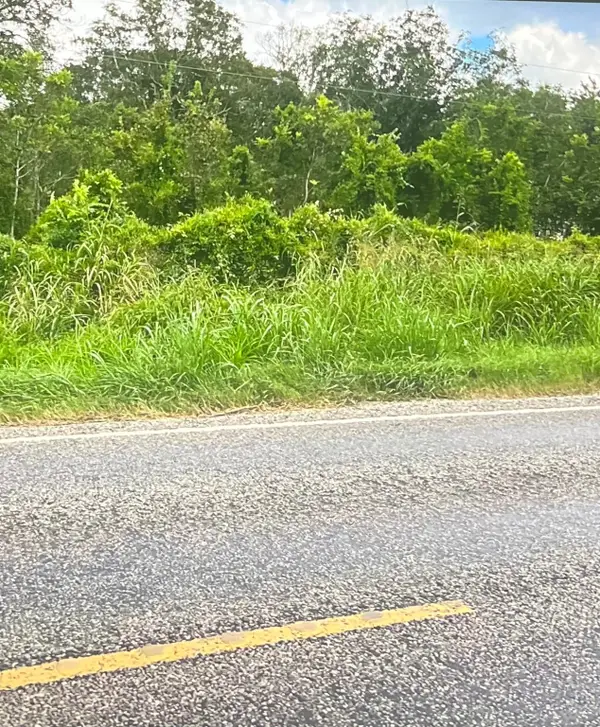 0 0 Fm 521, Cedar Lane, TX 77415