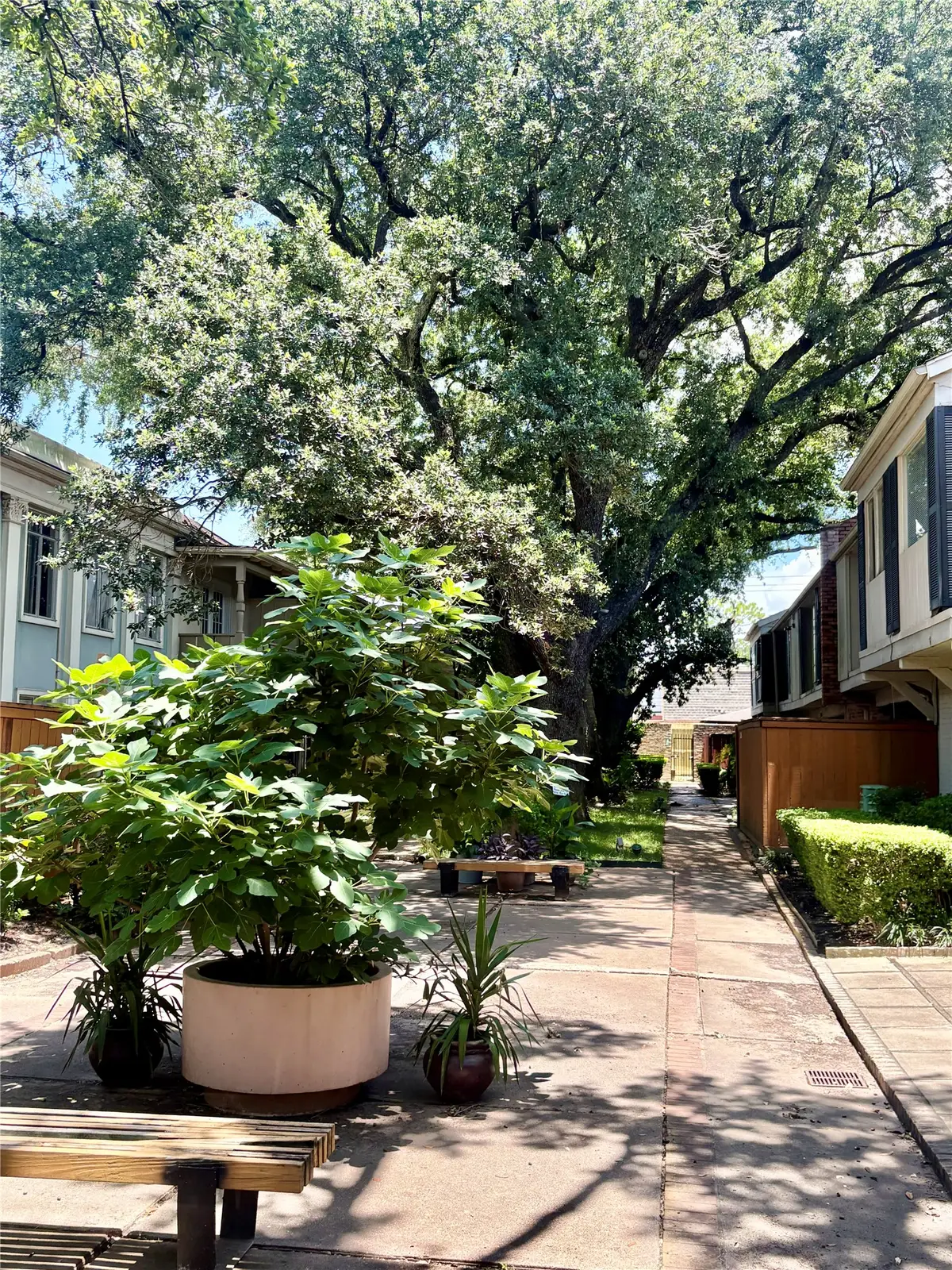 2595 Marilee Lane #6, Houston, TX 77057 - #1