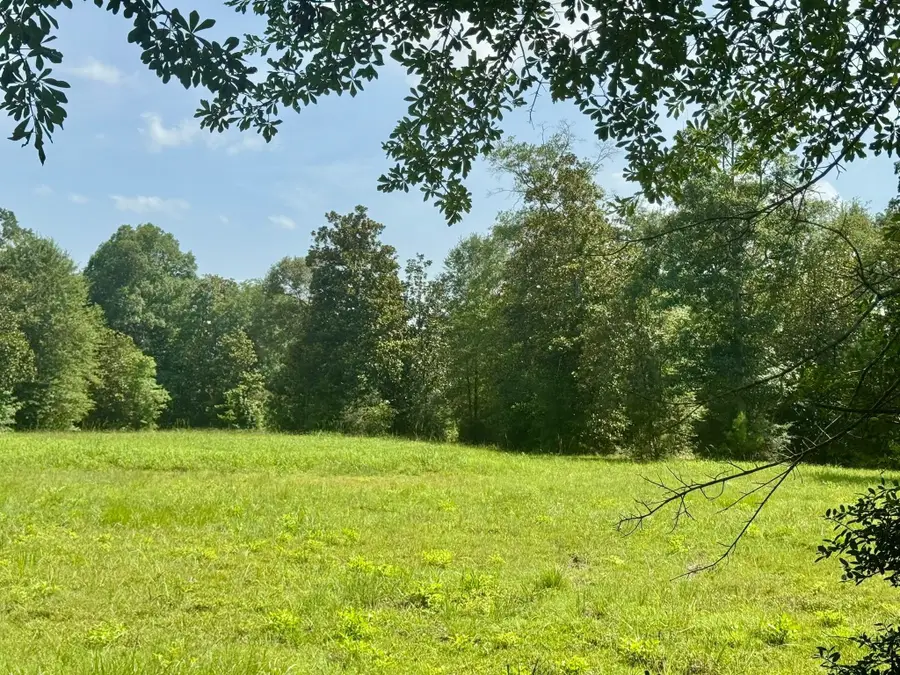 TBD Fm 1013, Hillister, TX 77624 - #2