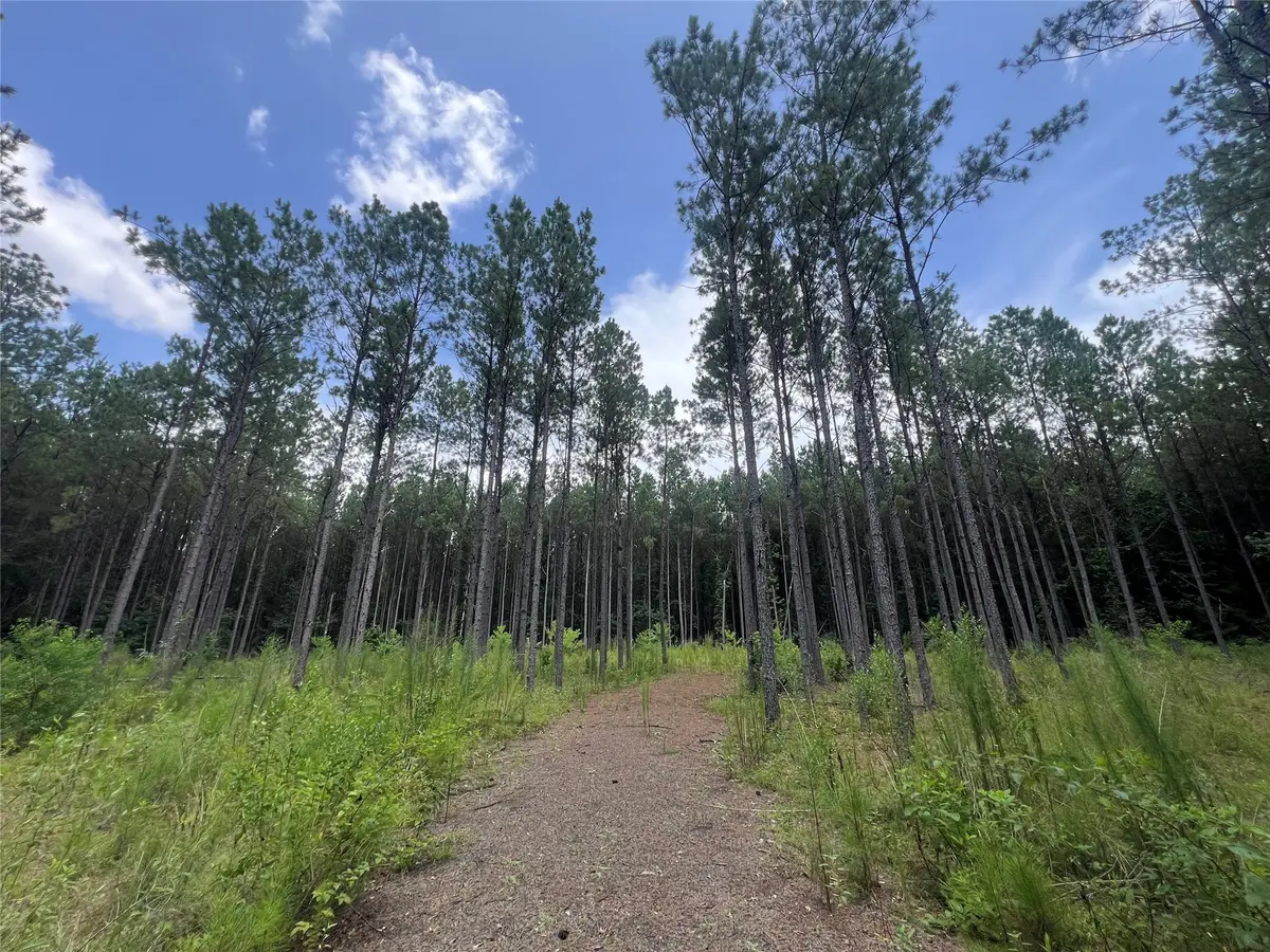 1690 Farm Market 1751, San Augustine, TX 75972 - Image #1