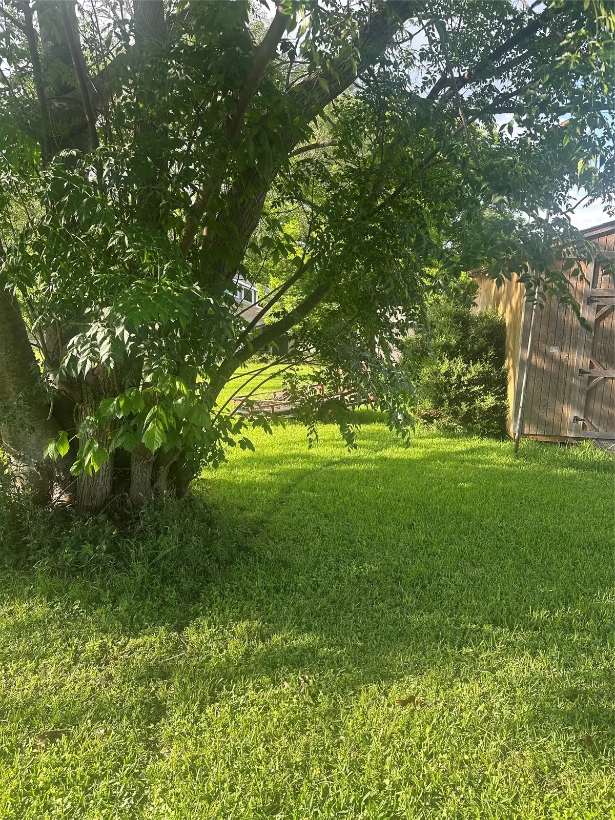 TBD Terrace Drive, Point Blank, TX 77364 - #1