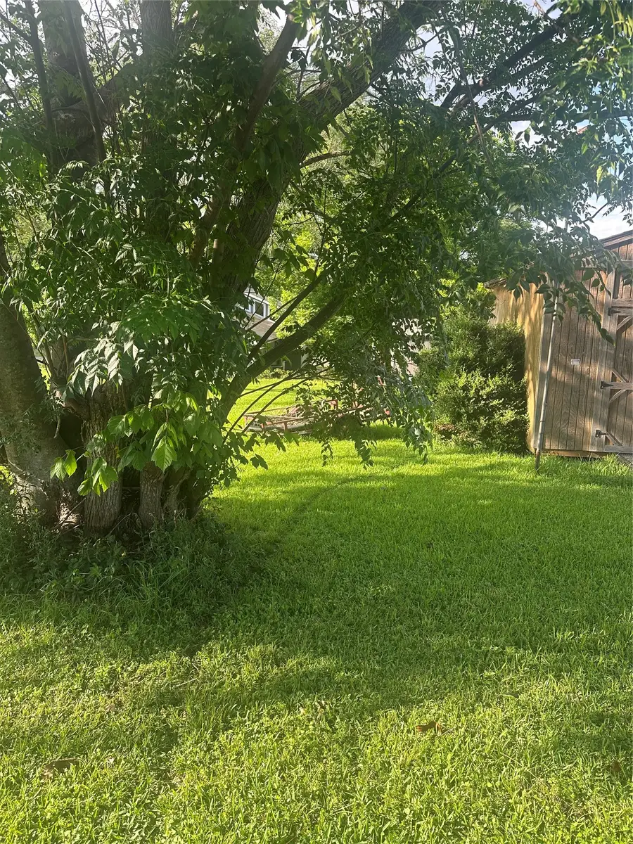 TBD Terrace Drive, Point Blank, TX 77364 - #2