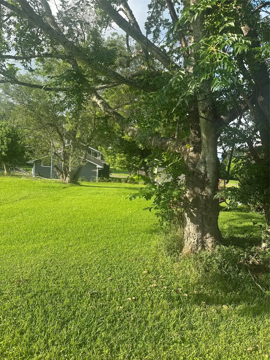 TBD Terrace Drive, Point Blank, TX 77364 - #3
