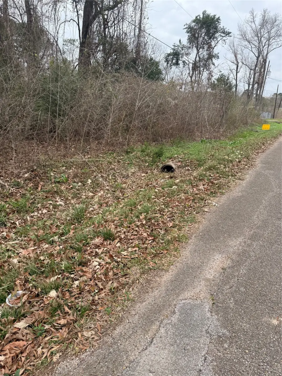 Lots 6 & 7 Idle Glen Roadway, New Caney, TX 77357 - Image #2