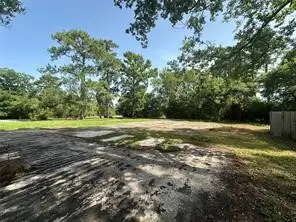314 Forest Cove Drive, Houston, TX 77339 - #3