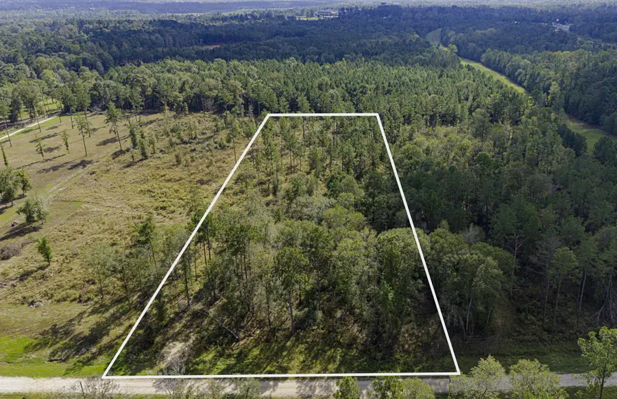 922 Rolling Pines Drive, Livingston, TX 77351 - #2