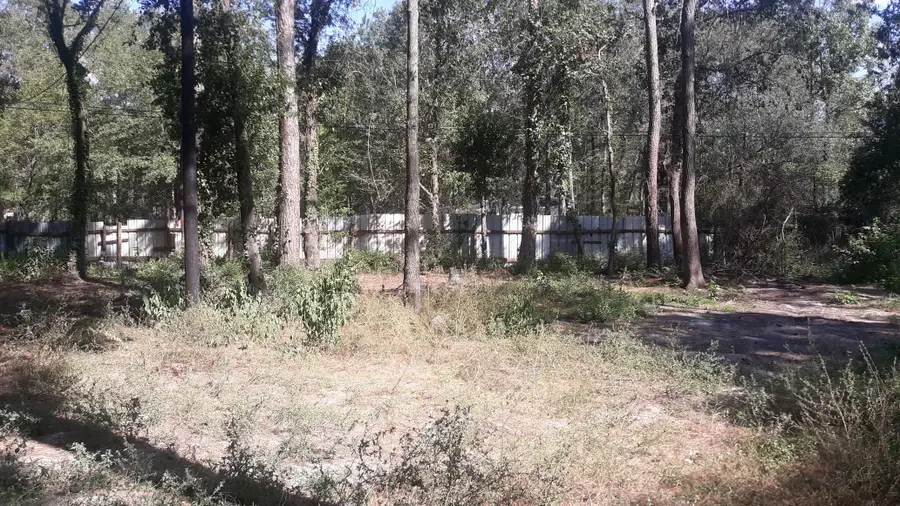 20916 Stevens Street, New Caney, TX 77357 - Image #2