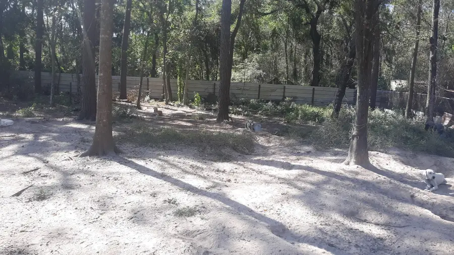 20916 Stevens Street, New Caney, TX 77357 - Image #3