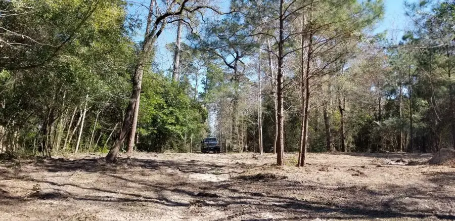 TBD Linwood, Conroe, TX 77304 - Image #2