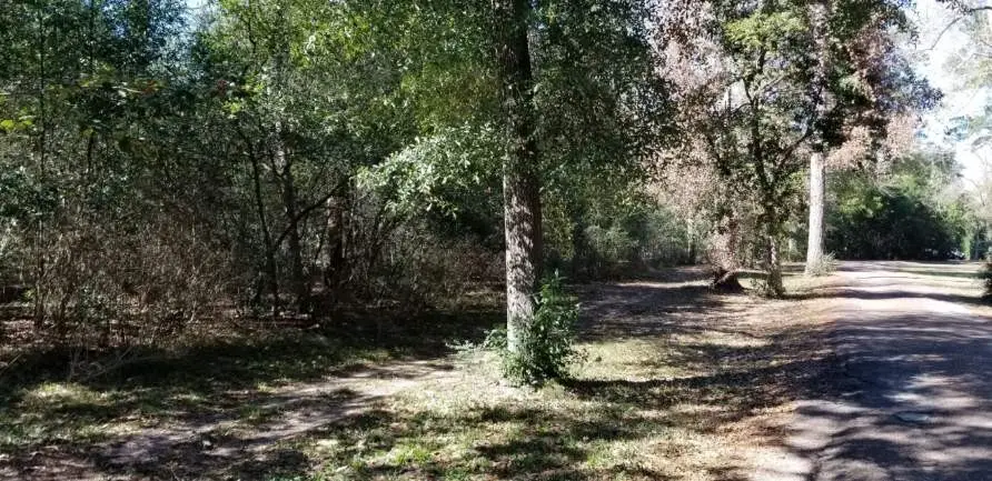 TBD Linwood, Conroe, TX 77304 - Image #3