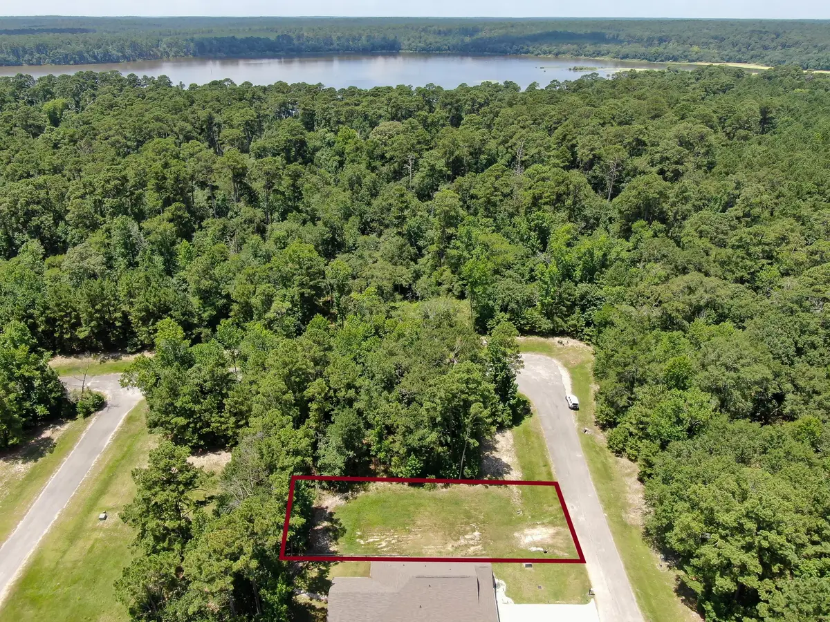 41 Firewood Road, Huntsville, TX 77340 - #1