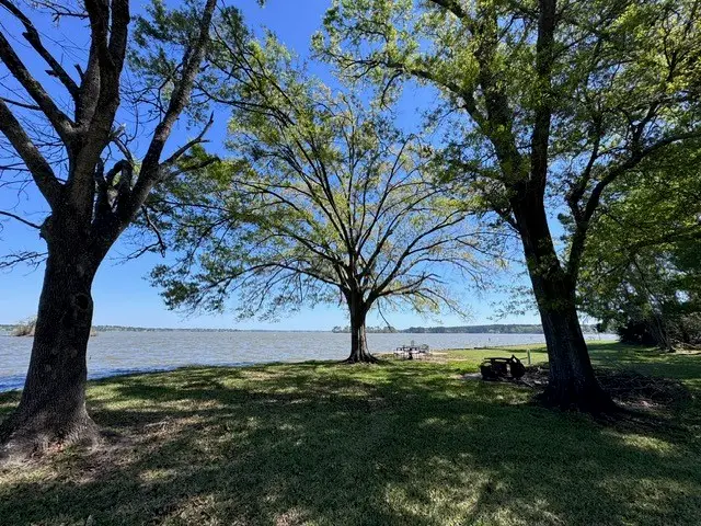 201 Westwood Drive E, Trinity, TX 75862 - #2