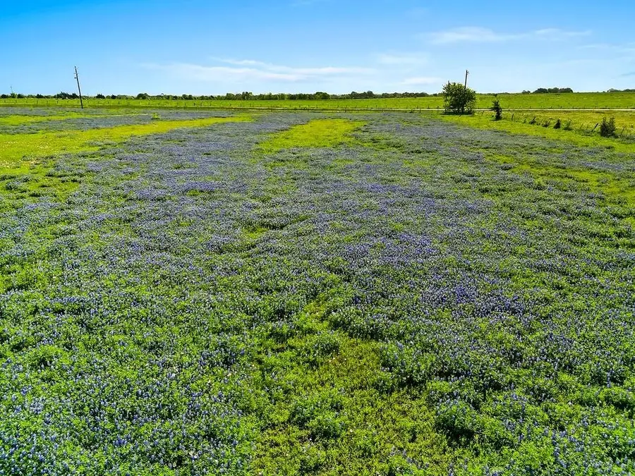 2080 Fm 155, Weimar, TX 78962 - Image #3