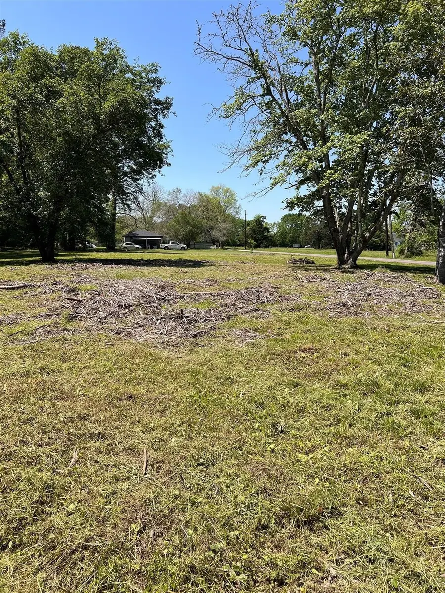 132 Paul Avenue, Dayton, TX 77535 - Image #3