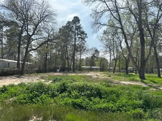 16750 Oak Knoll Drive, Porter, TX 77365 - Image #2