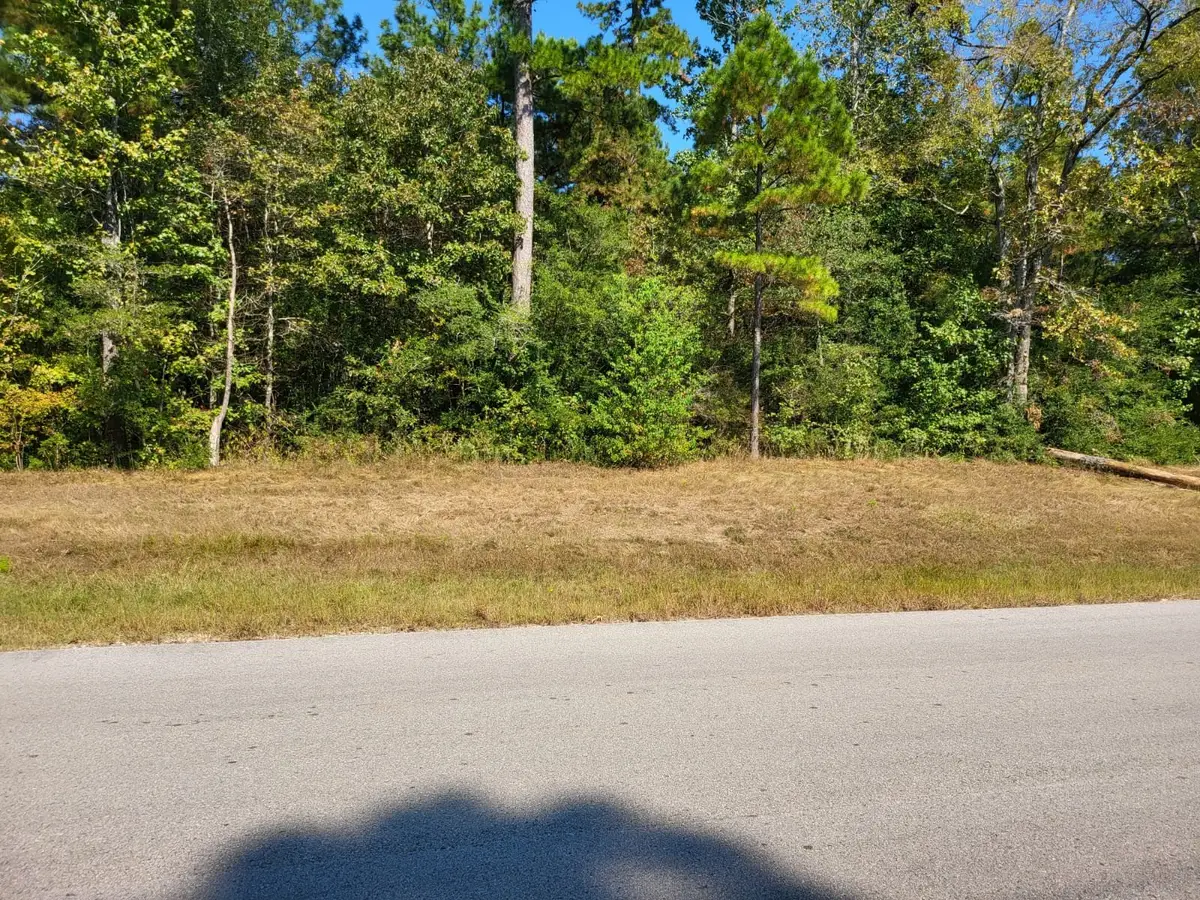 0000 Dipping Vat Road, Huntsville, TX 77340 - Image #1