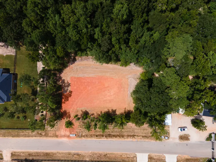 21316 Monarch Drive, Montgomery, TX 77316 - #2