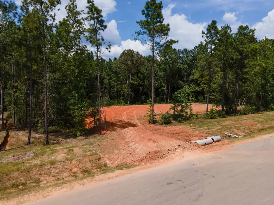 21316 Monarch Drive, Montgomery, TX 77316 - #3