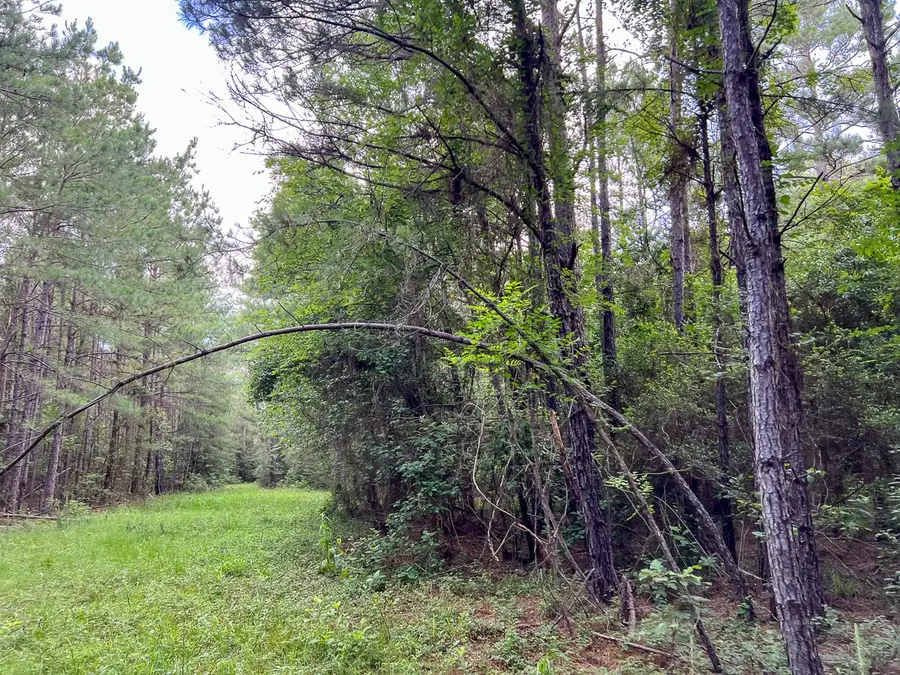 1 Fm 2793, New Waverly, TX 77358 - Image #3