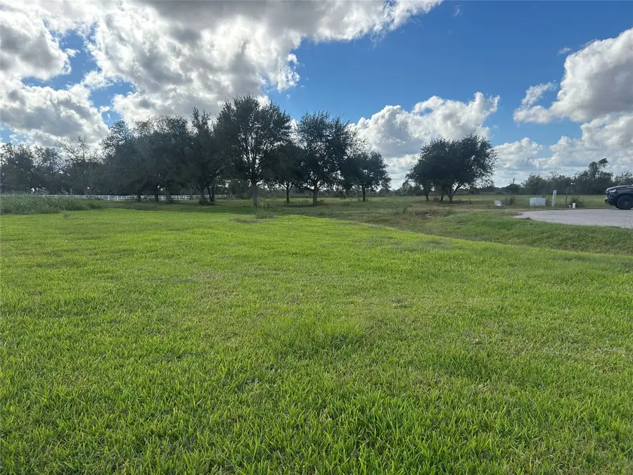 3135 Tankersley Drive, Rosharon, TX 77583 - Image #3