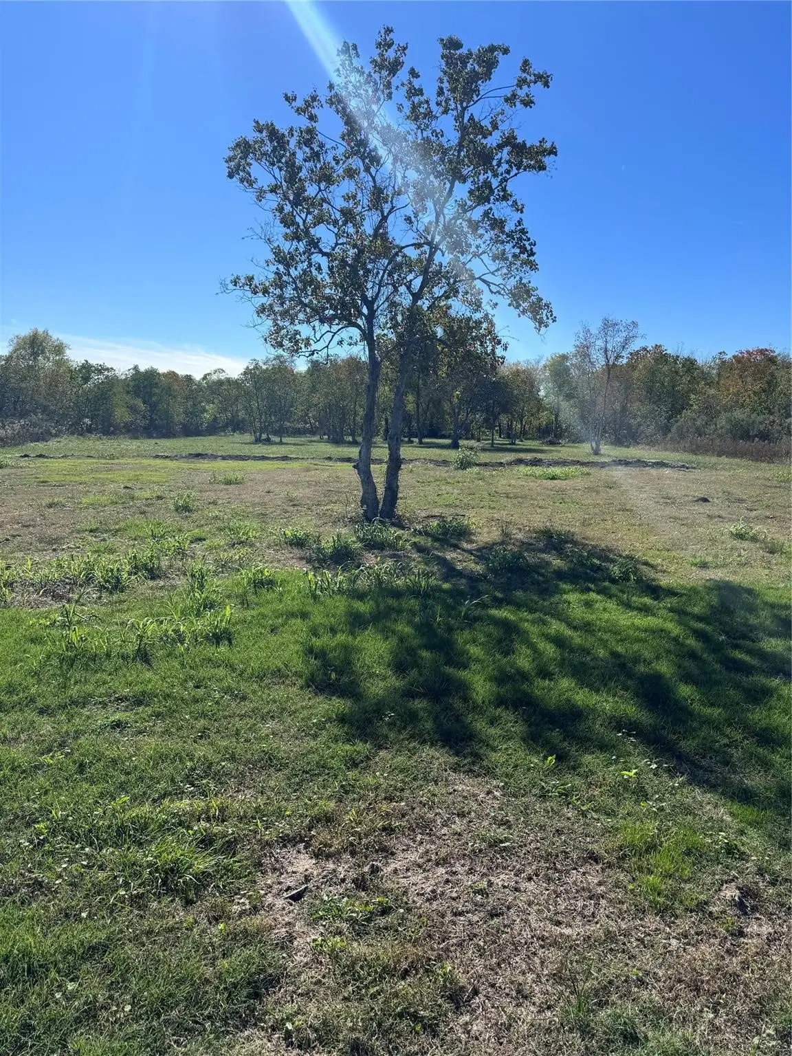 00 Laurel Street, Fresno, TX 77545 - #1