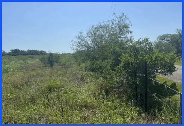 TR 14 Private Road, Refugio, TX 78377 - Image #3