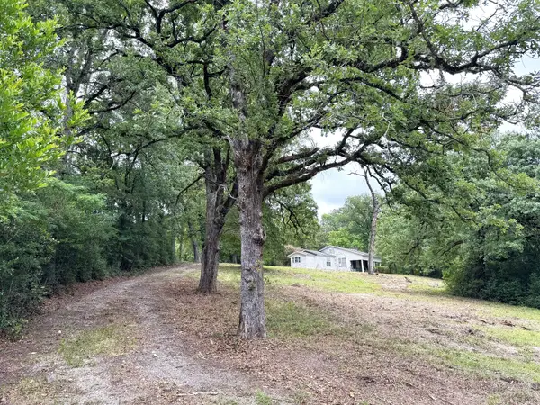 704 E Elder Street, Colmesneil, TX 75938
