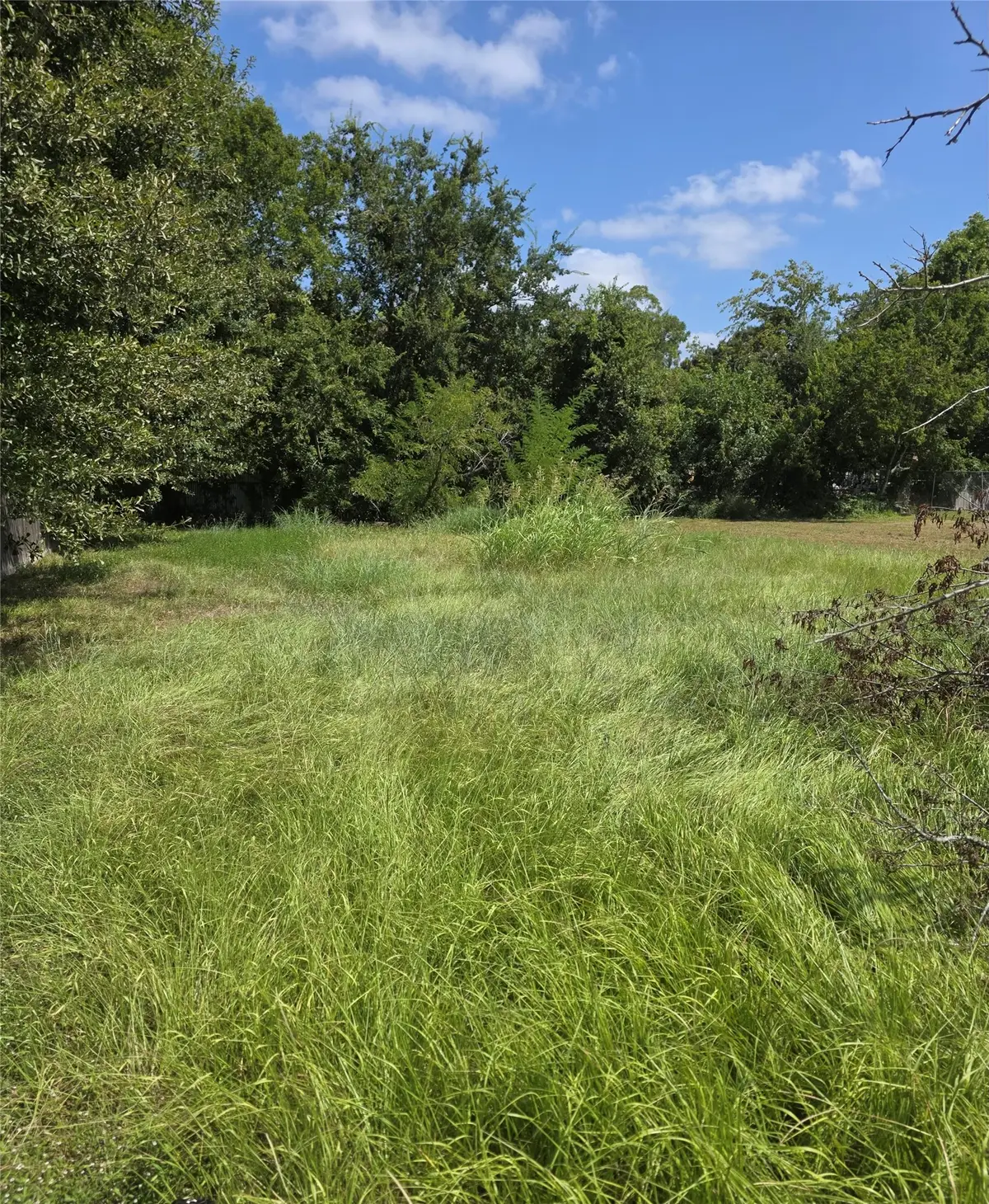 1312 Preston Street, Richmond, TX 77469 - #1