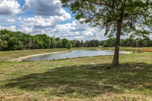 7157 Fm 1697 Tract 1, Carmine, TX 78932