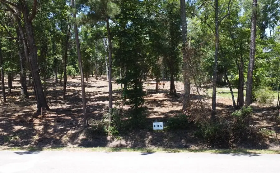 TBD Crowley Road, Conroe, TX 77301 - #2