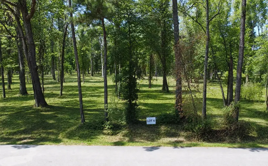 TBD Crowley Road, Conroe, TX 77301 - #3